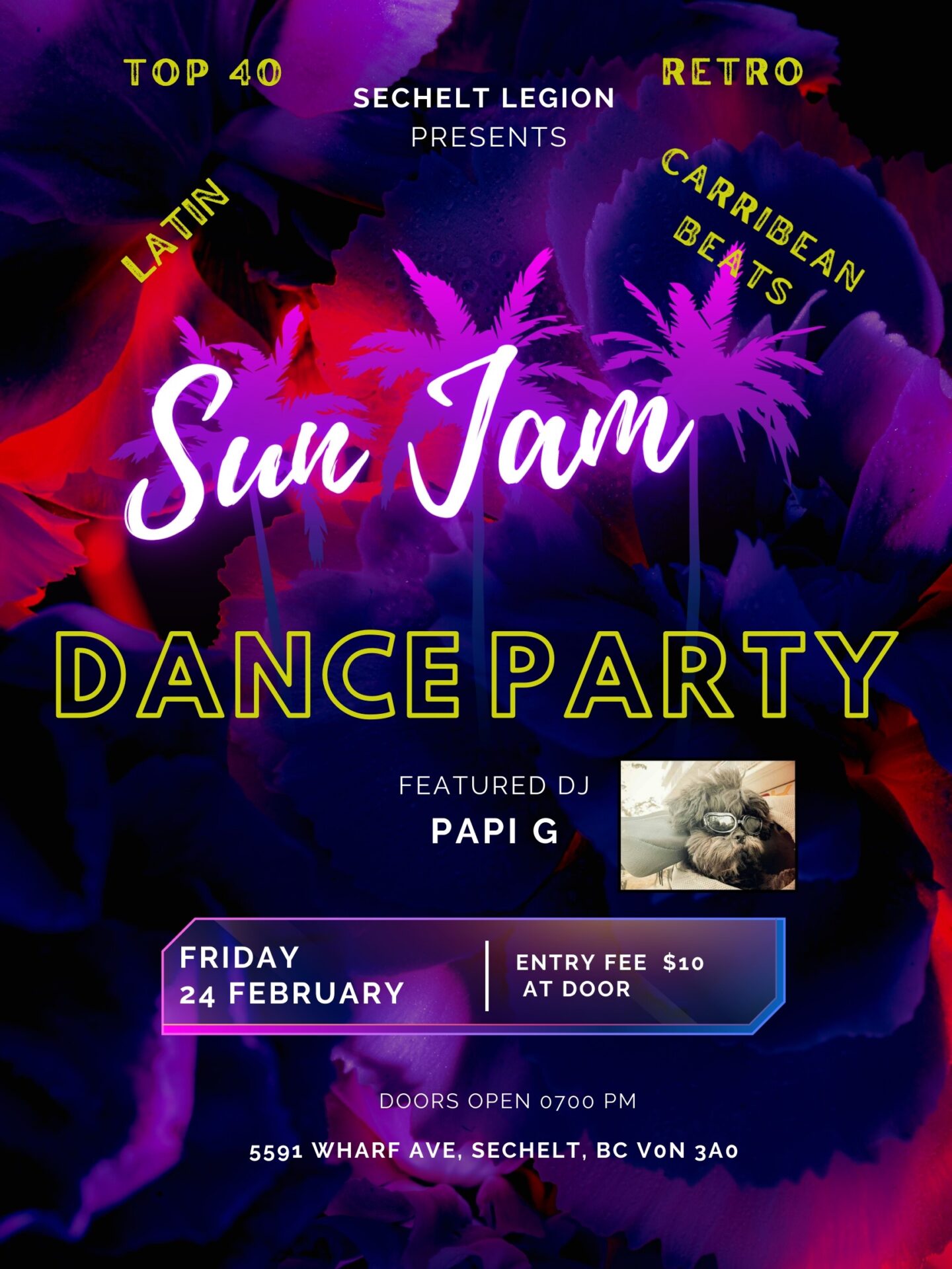 Sunjam Party Club Poster Inpixio